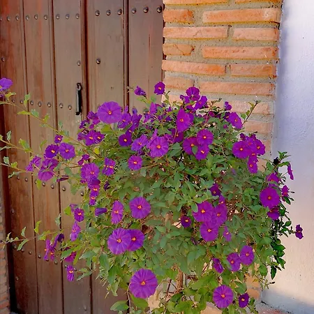 Villasecre * Almedinilla